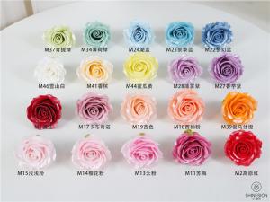 Soap Flower Head